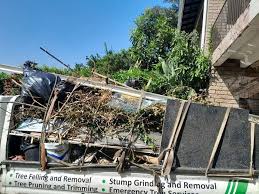 Best Hoarding Cleanup  in Chelsea, MI